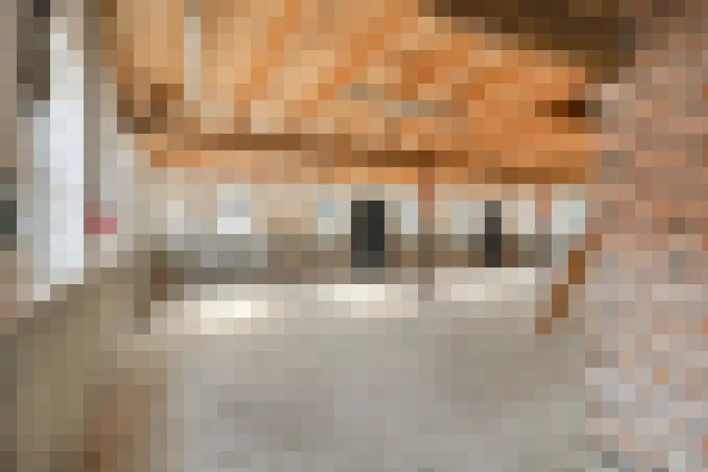 Nieuwe Veldenweg 8 Veghel thumbnail 4