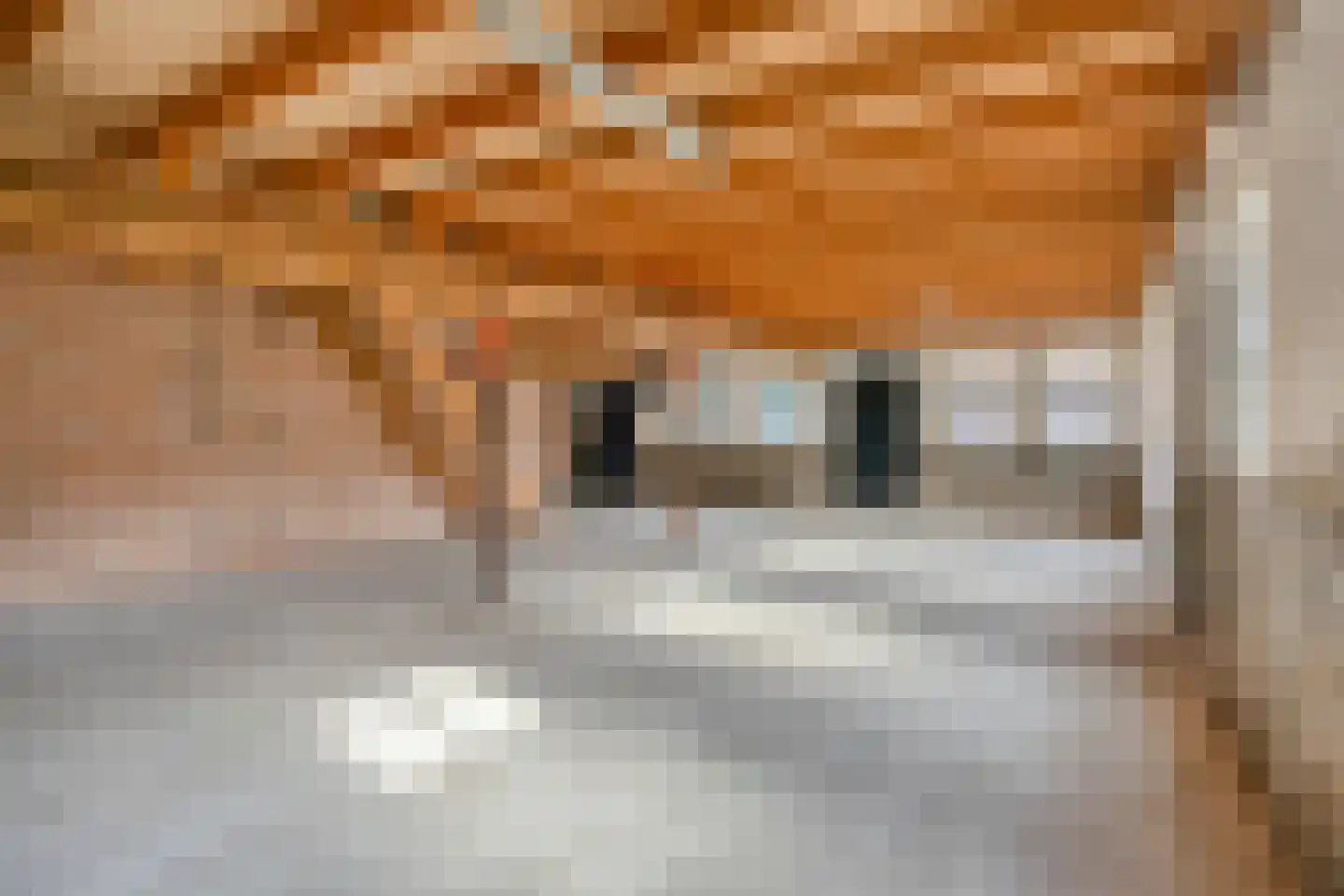 Nieuwe Veldenweg 8 Veghel thumbnail 5
