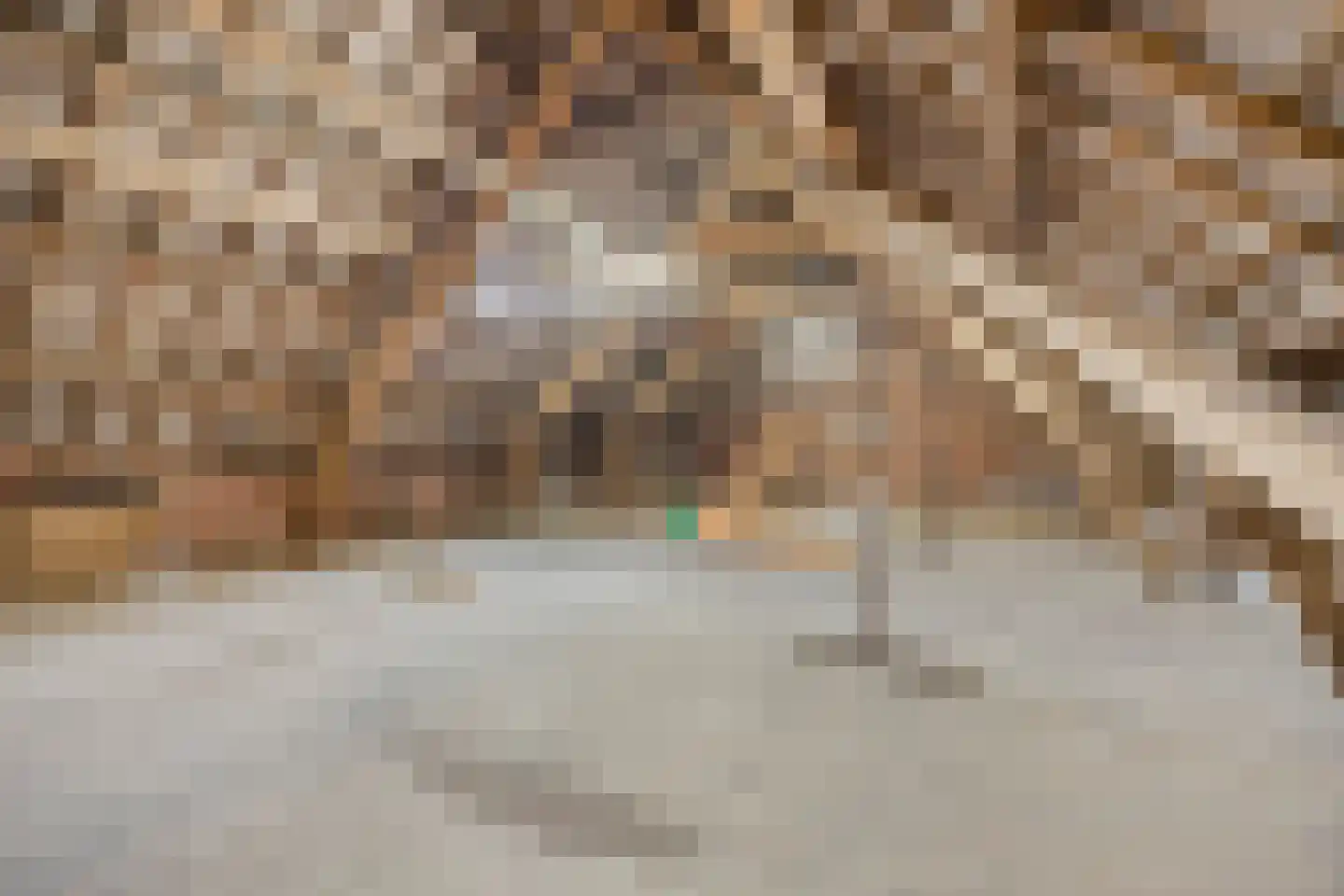 Nieuwe Veldenweg 8 Veghel thumbnail 6