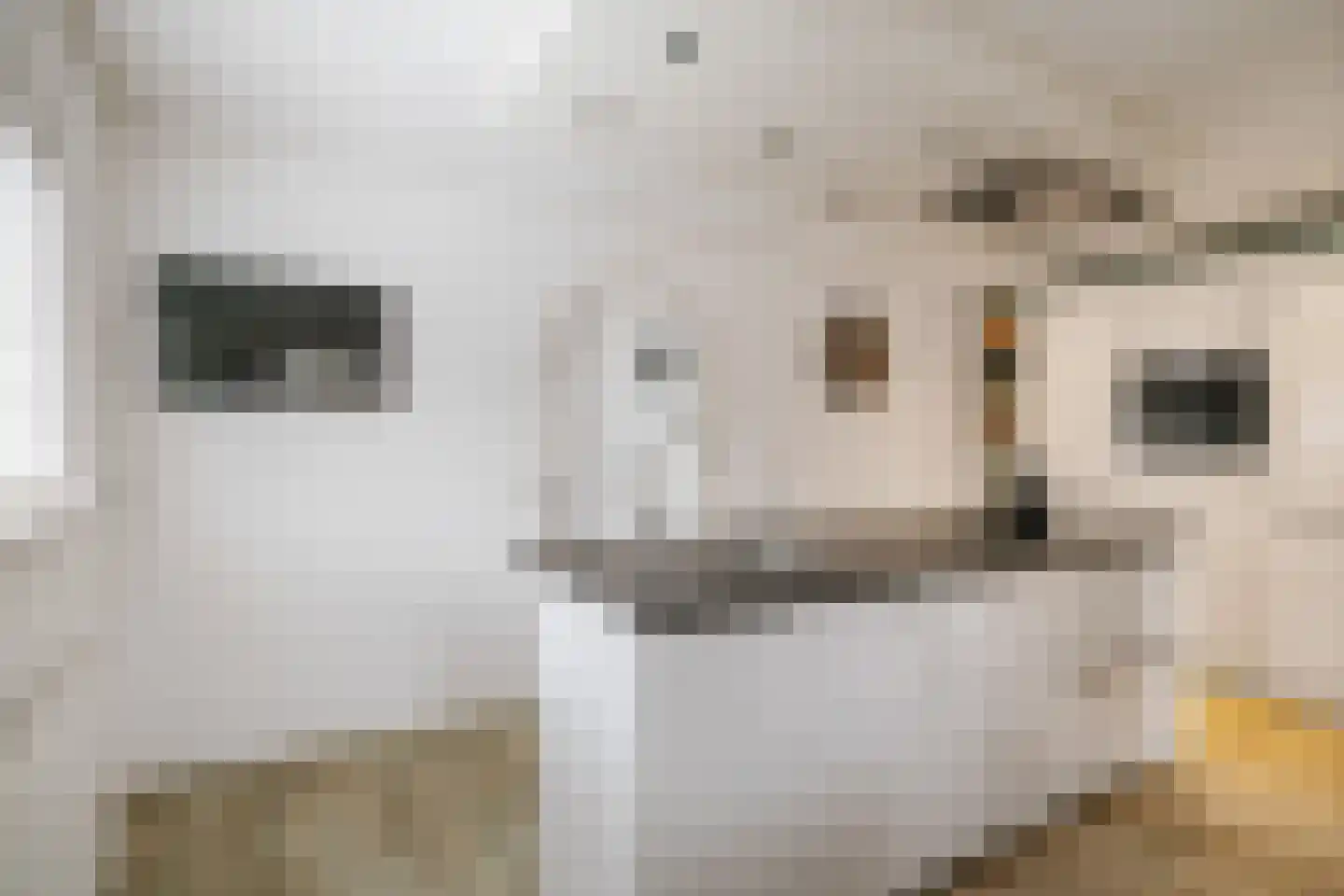 Nieuwe Veldjes 23 Twello thumbnail 17