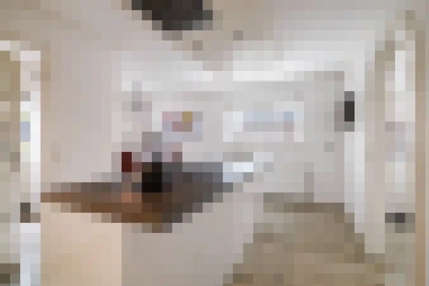 Nieuwe Veldjes 23 Twello thumbnail 18