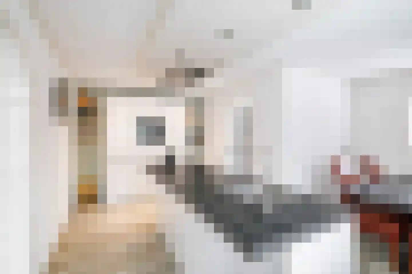 Nieuwe Veldjes 23 Twello thumbnail 19