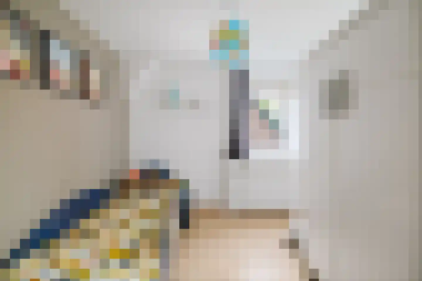 Nieuwe Veldjes 23 Twello thumbnail 26