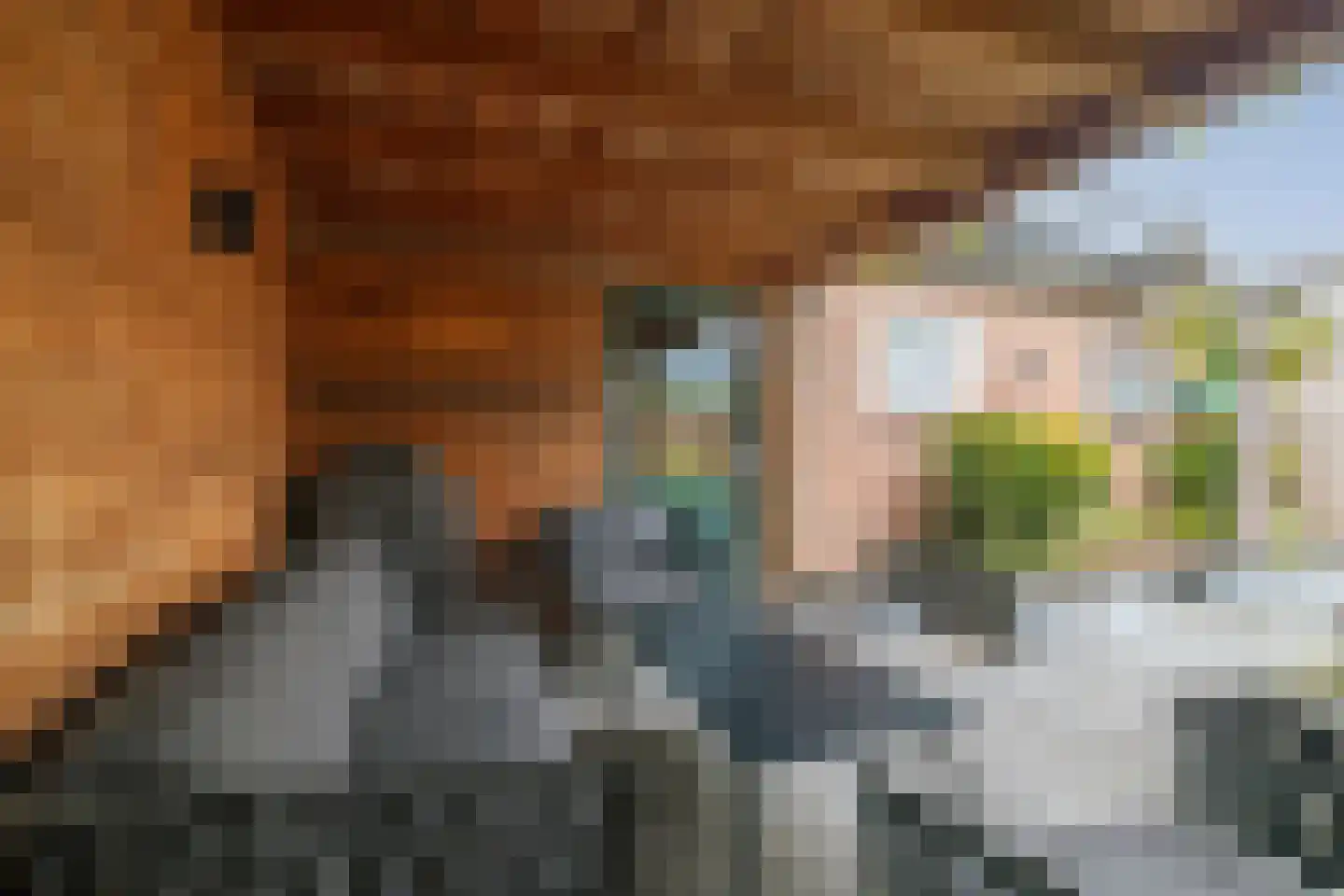 Nieuwe Veldjes 23 Twello thumbnail 36