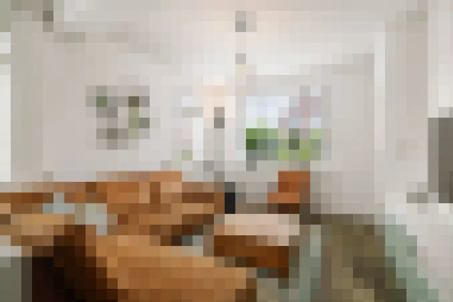 Nieuwe Veldjes 23 Twello thumbnail 6