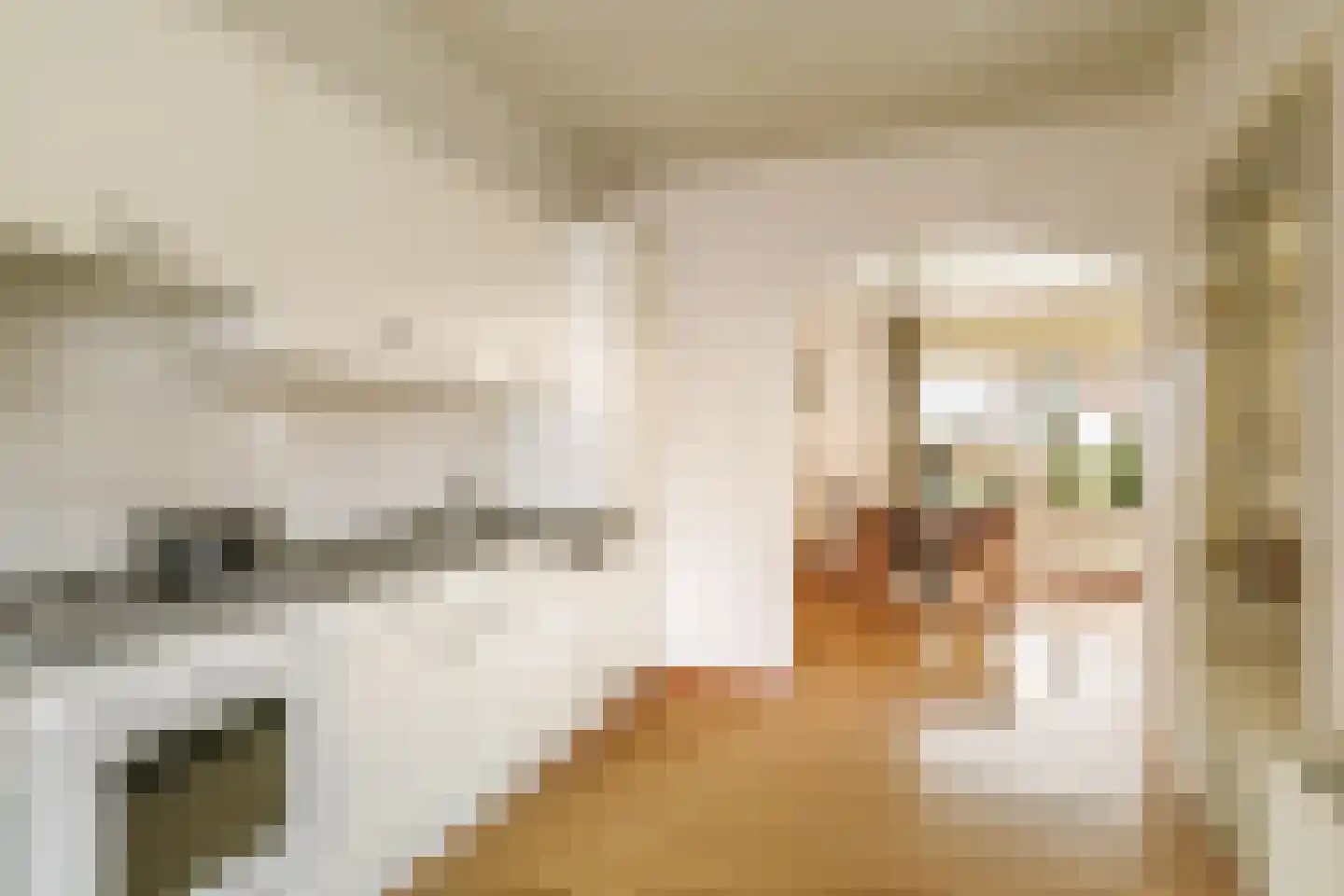 Nieuwe Veldjes 24 B Twello thumbnail 11