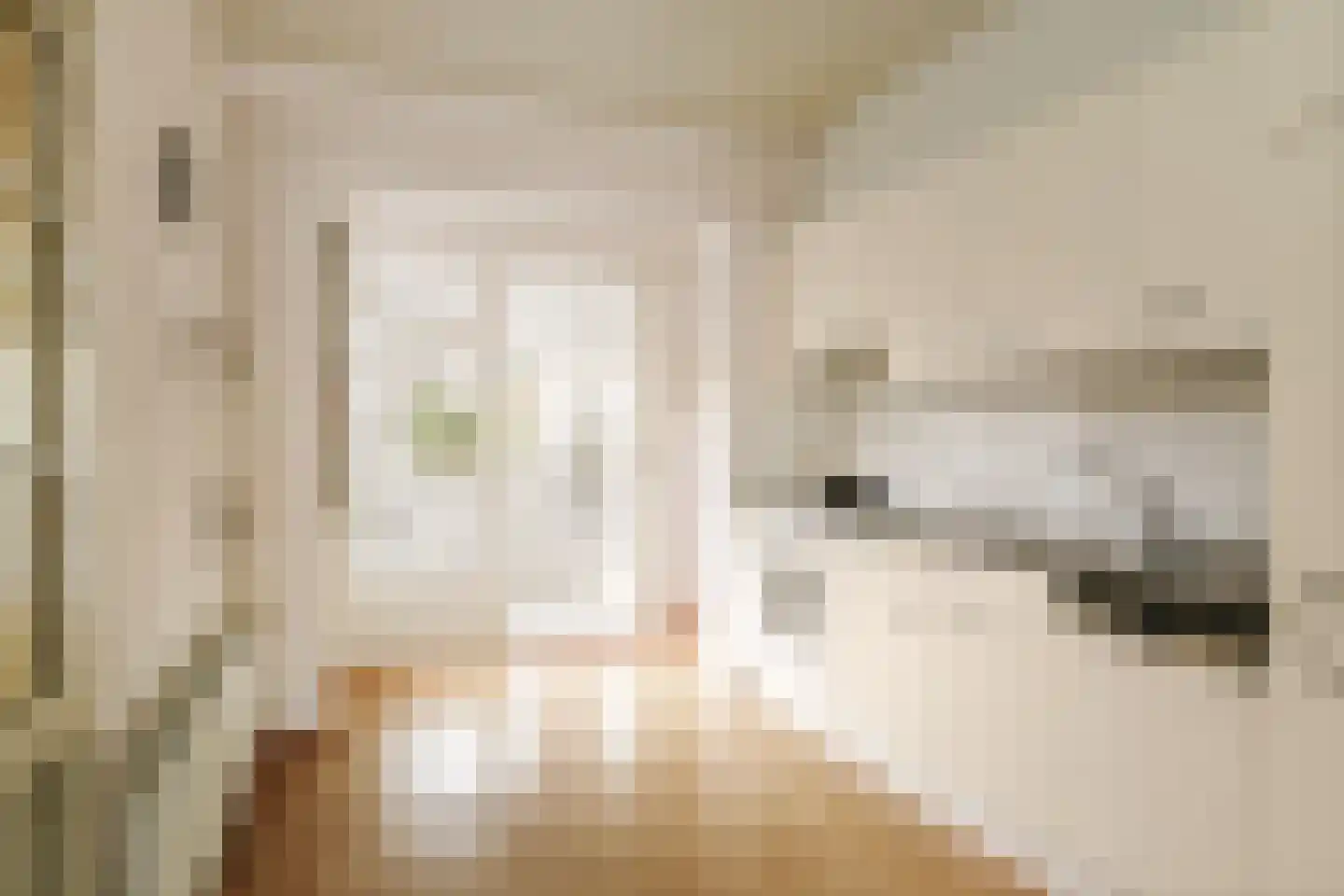 Nieuwe Veldjes 24 B Twello thumbnail 12