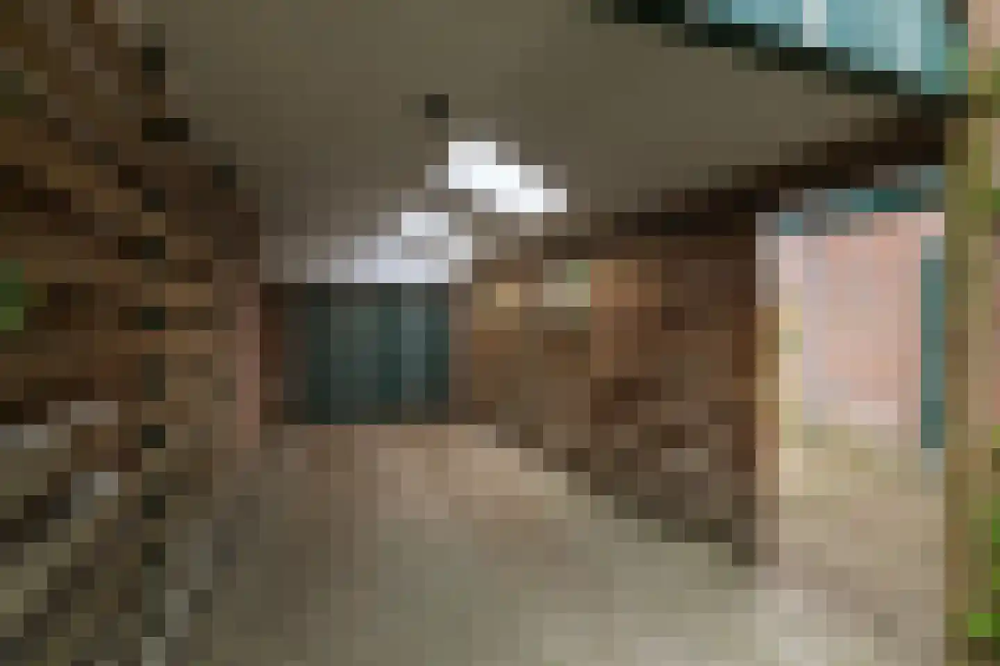 Nieuwe Veldjes 24 B Twello thumbnail 26