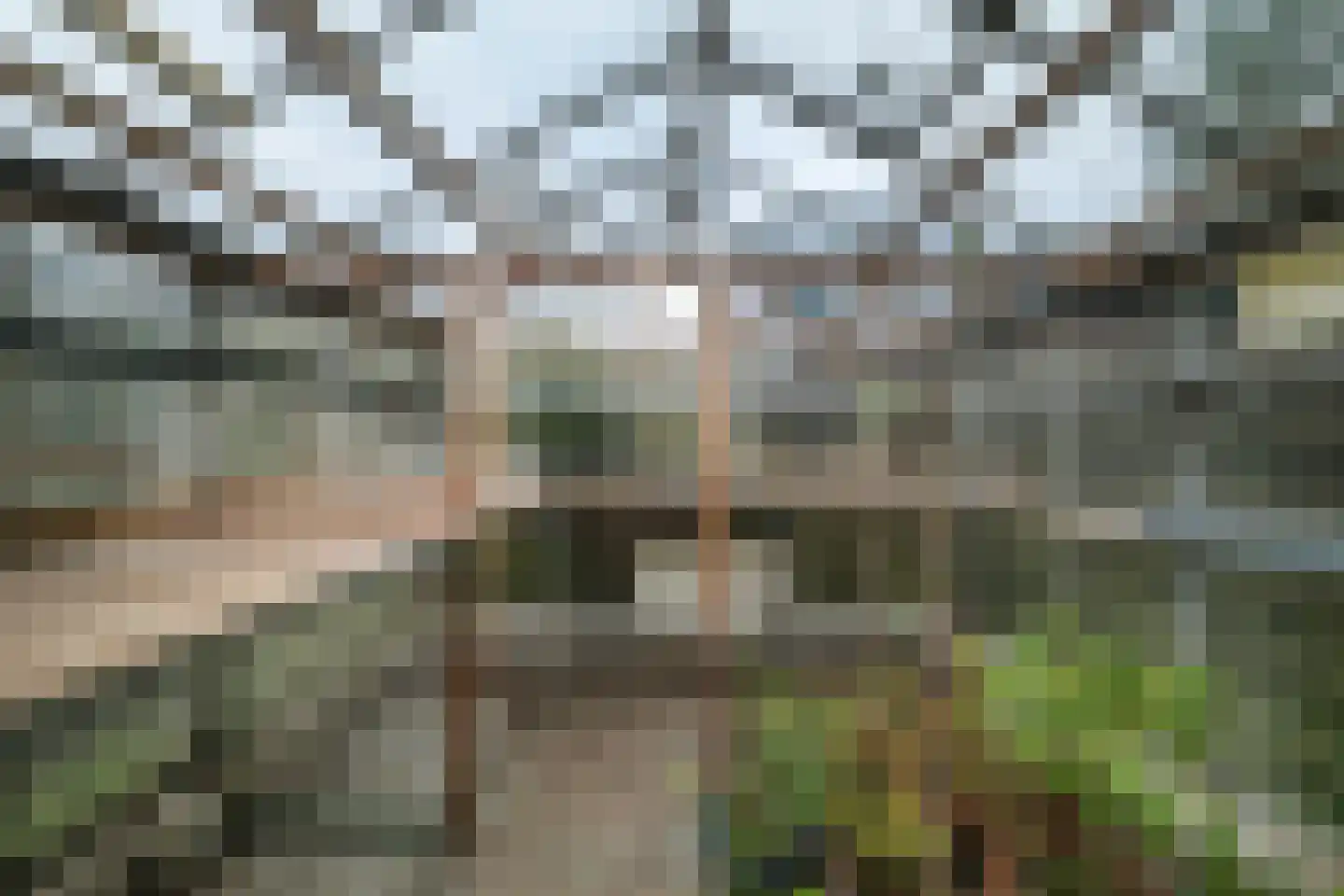 Nieuwe Veldjes 24 B Twello thumbnail 30