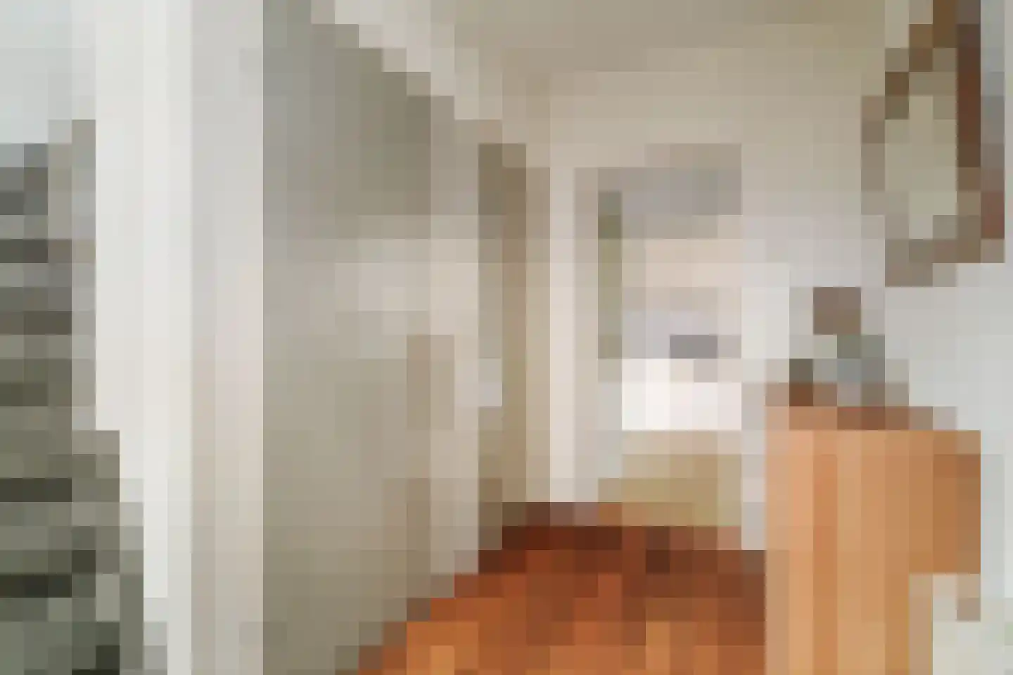 Nieuwe Veldjes 24 B Twello thumbnail 6