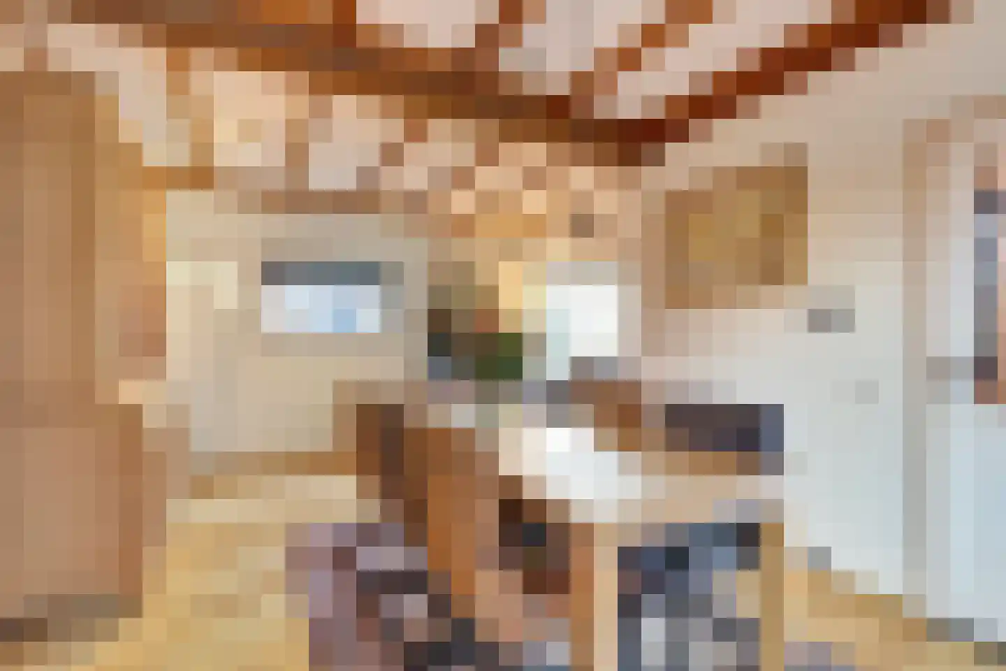 Nieuwe Veldjes 28 Twello thumbnail 12