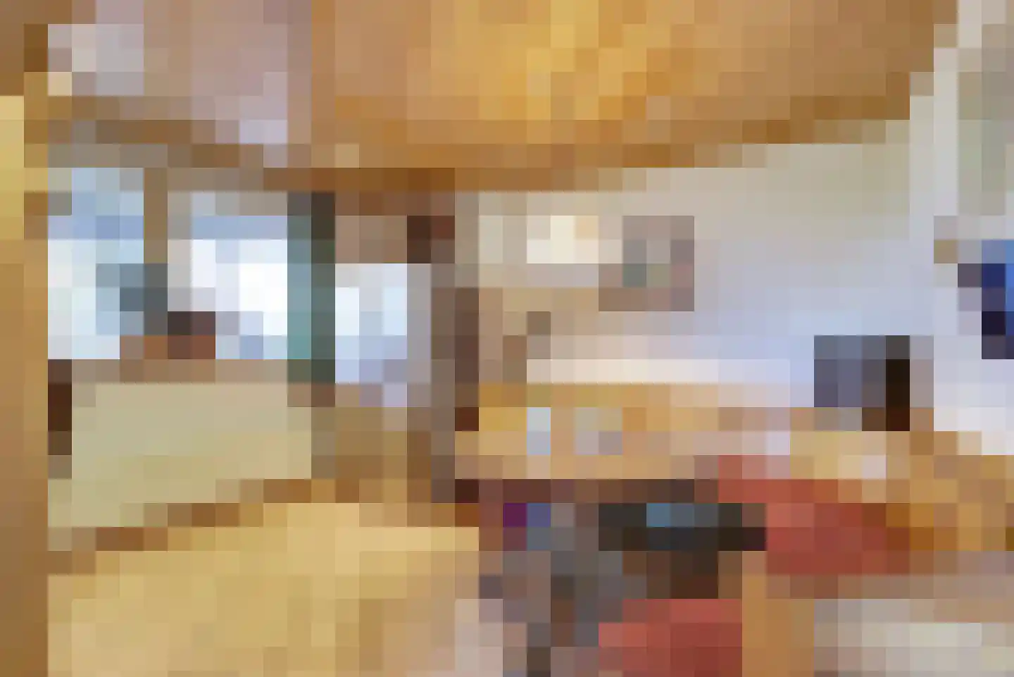 Nieuwe Veldjes 28 Twello thumbnail 13