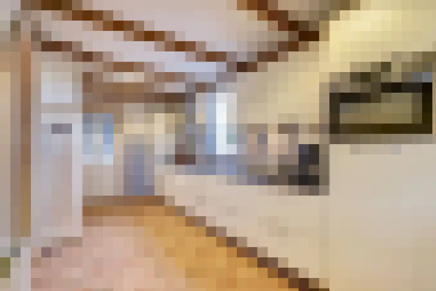Nieuwe Veldjes 28 Twello thumbnail 16