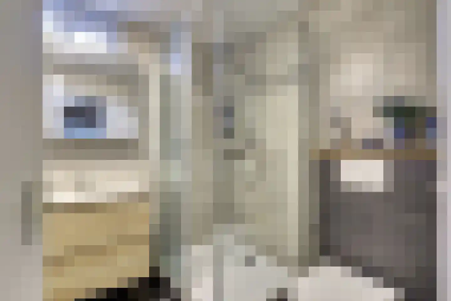 Nieuwe Veldjes 28 Twello thumbnail 18