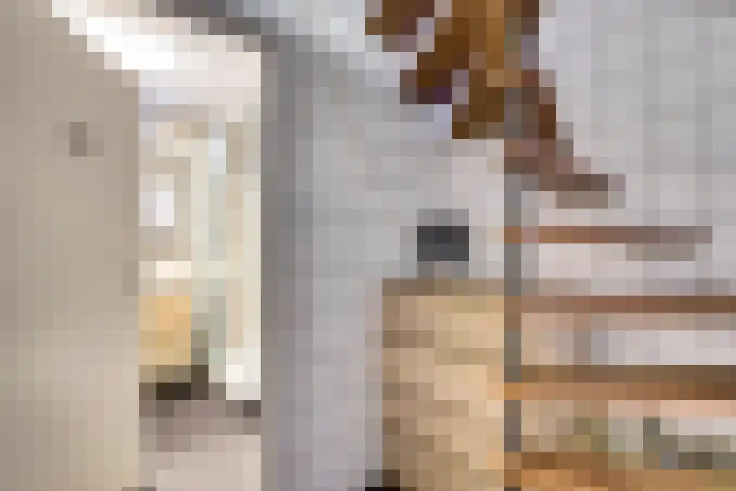 Nieuwe Veldjes 28 Twello thumbnail 20