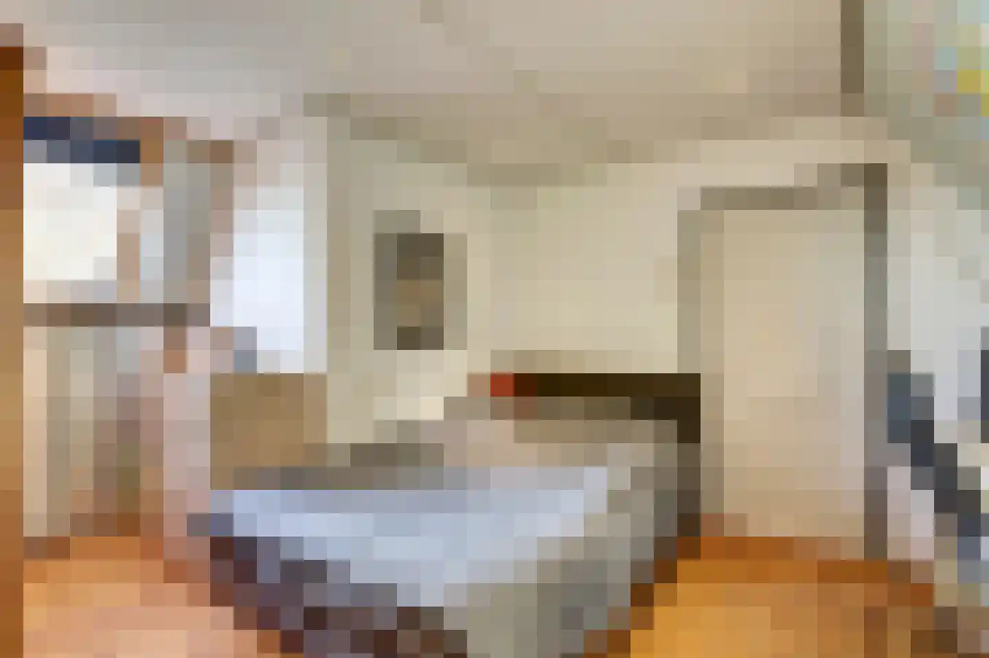 Nieuwe Veldjes 28 Twello thumbnail 25