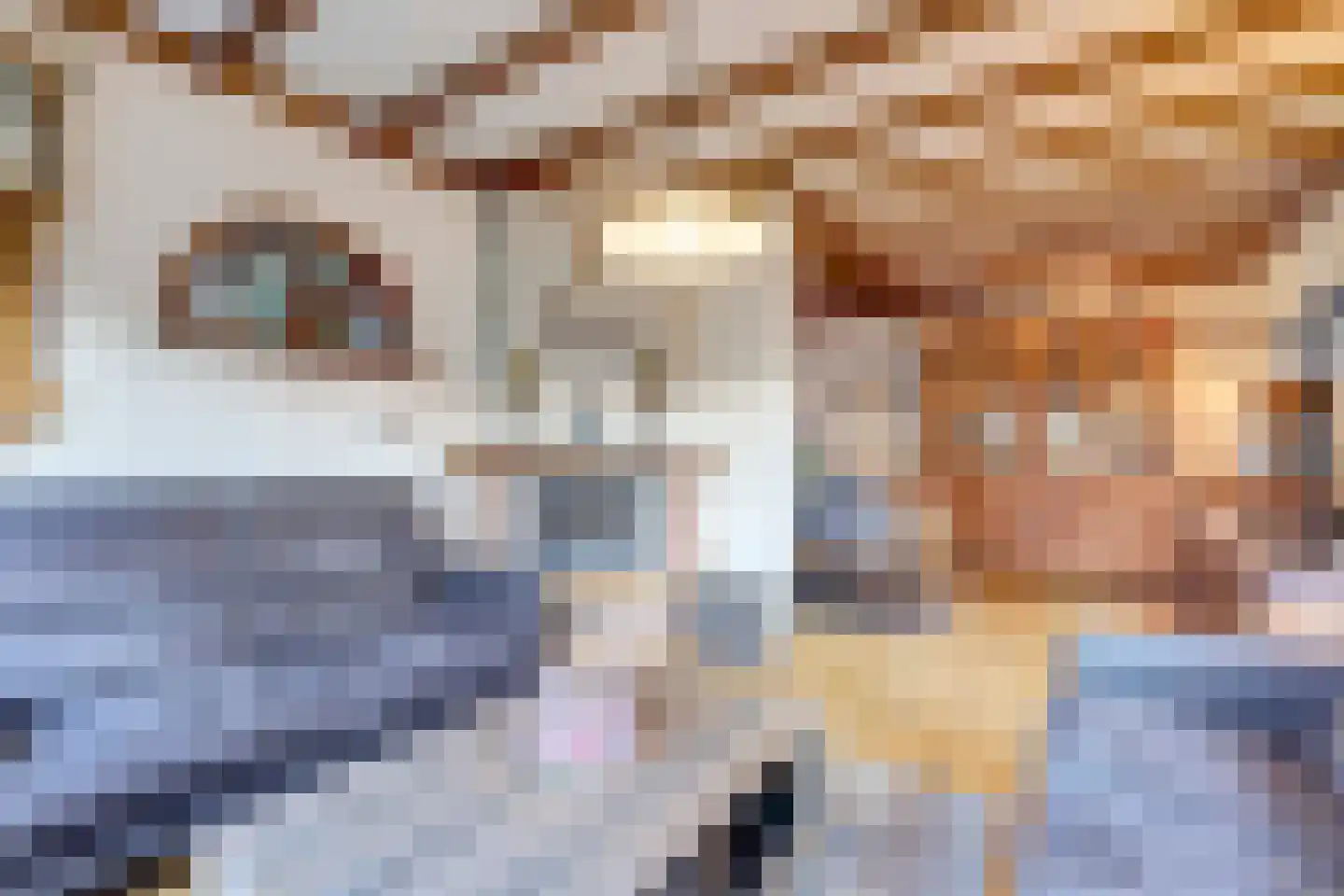Nieuwe Veldjes 28 Twello thumbnail 7