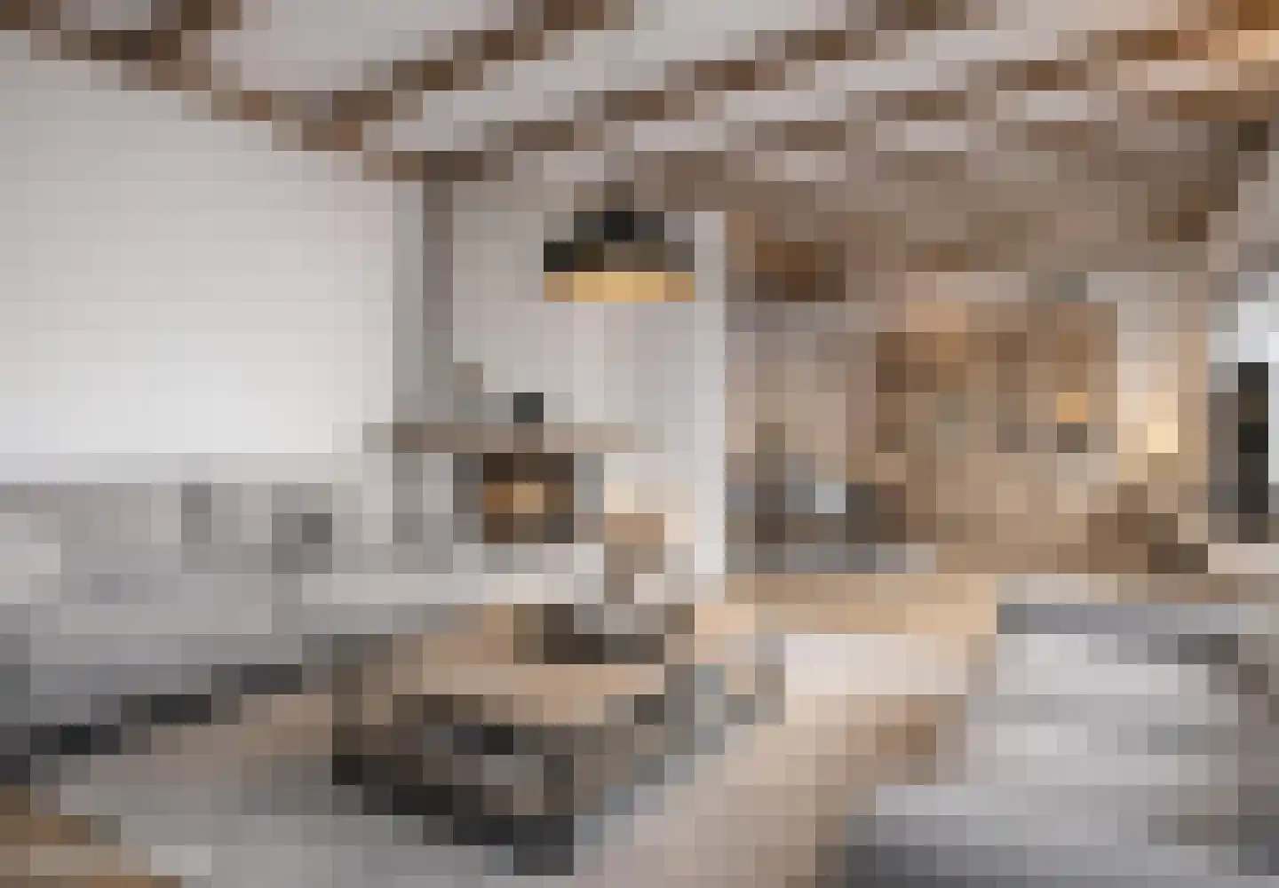 Nieuwe Veldjes 28 Twello thumbnail 8