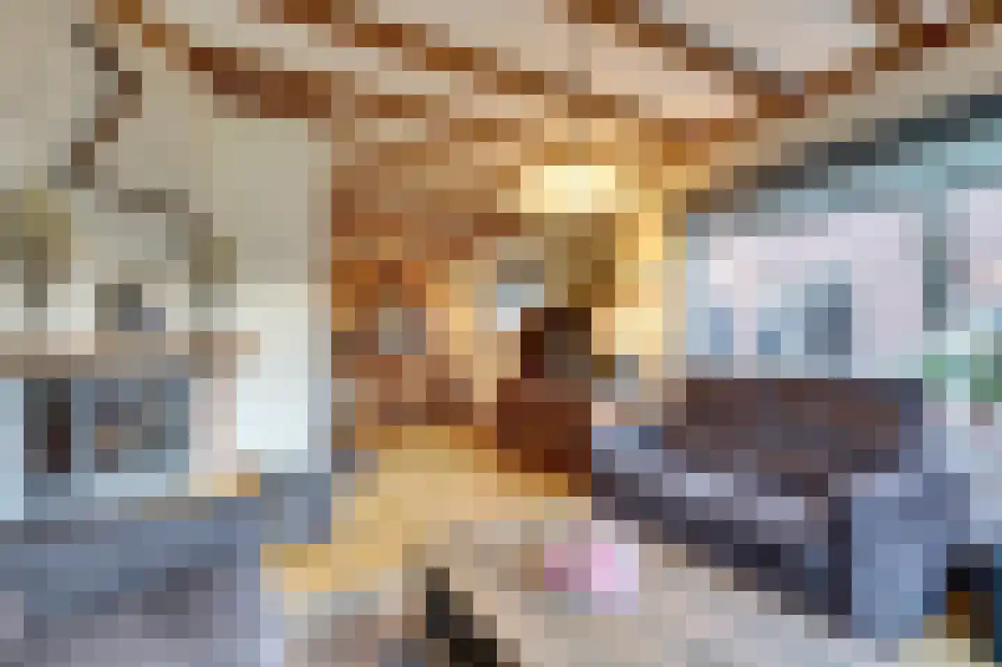Nieuwe Veldjes 28 Twello thumbnail 9