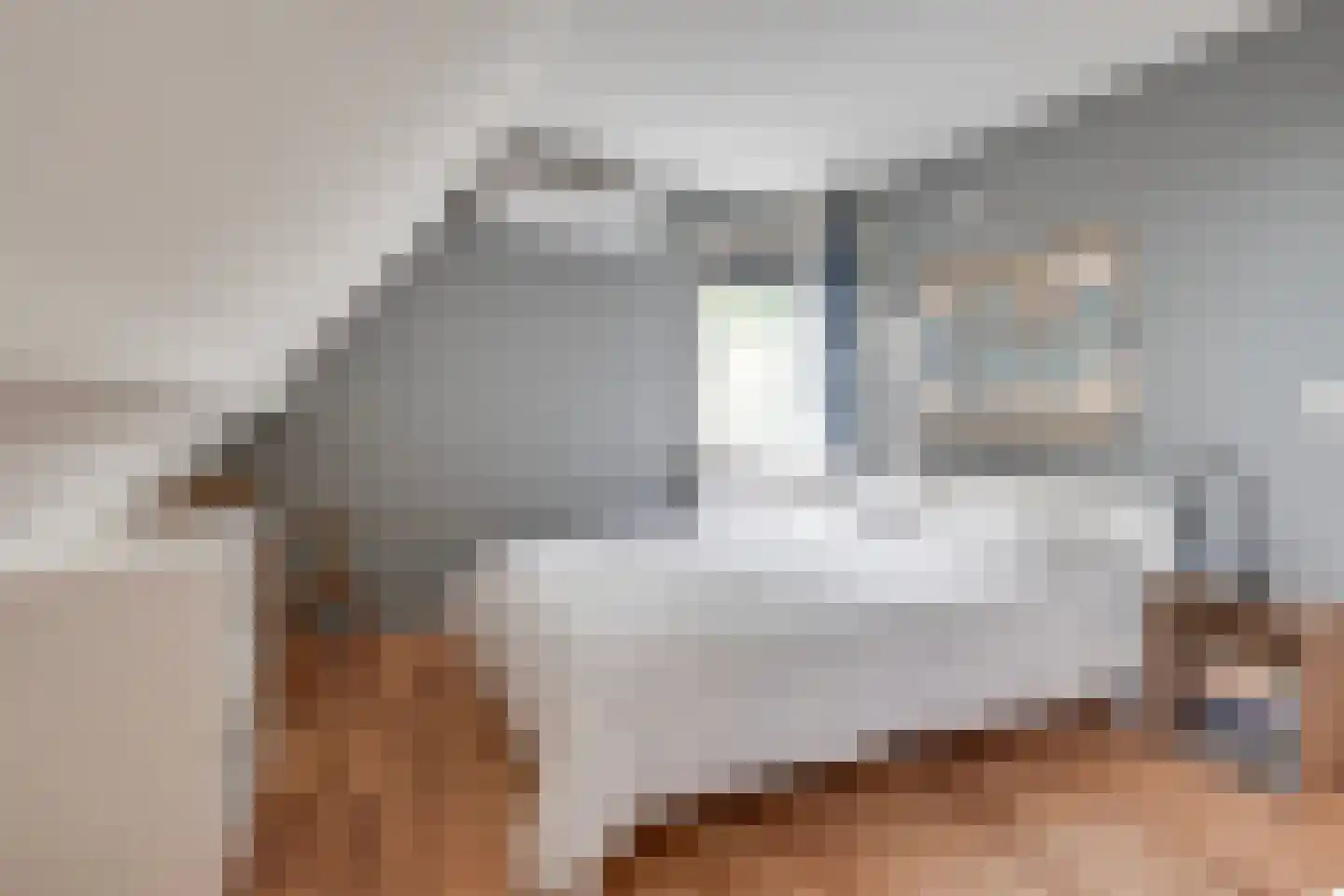 Nieuwe Veldjes 9 Twello thumbnail 14