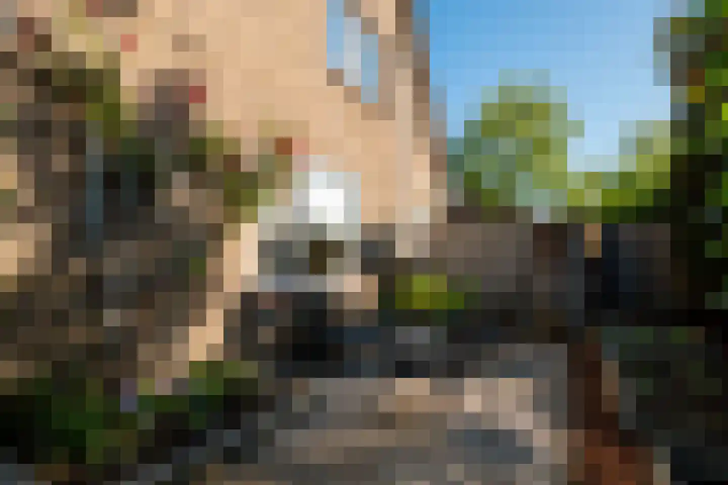 Nieuwe Veldjes 9 Twello thumbnail 29
