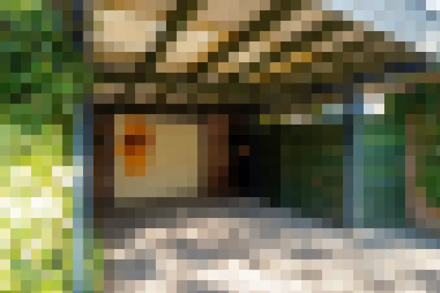 Nieuwe Veldjes 9 Twello thumbnail 4