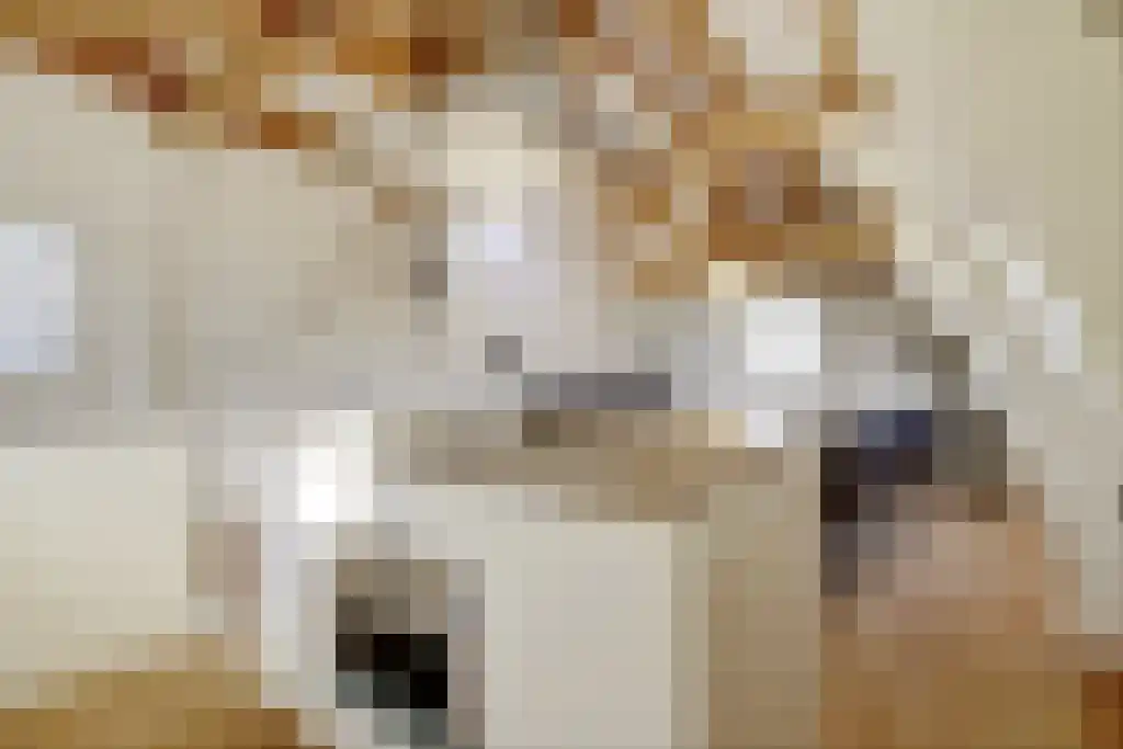 Nieuwe Vijzelstraat 1 Amsterdam thumbnail 5