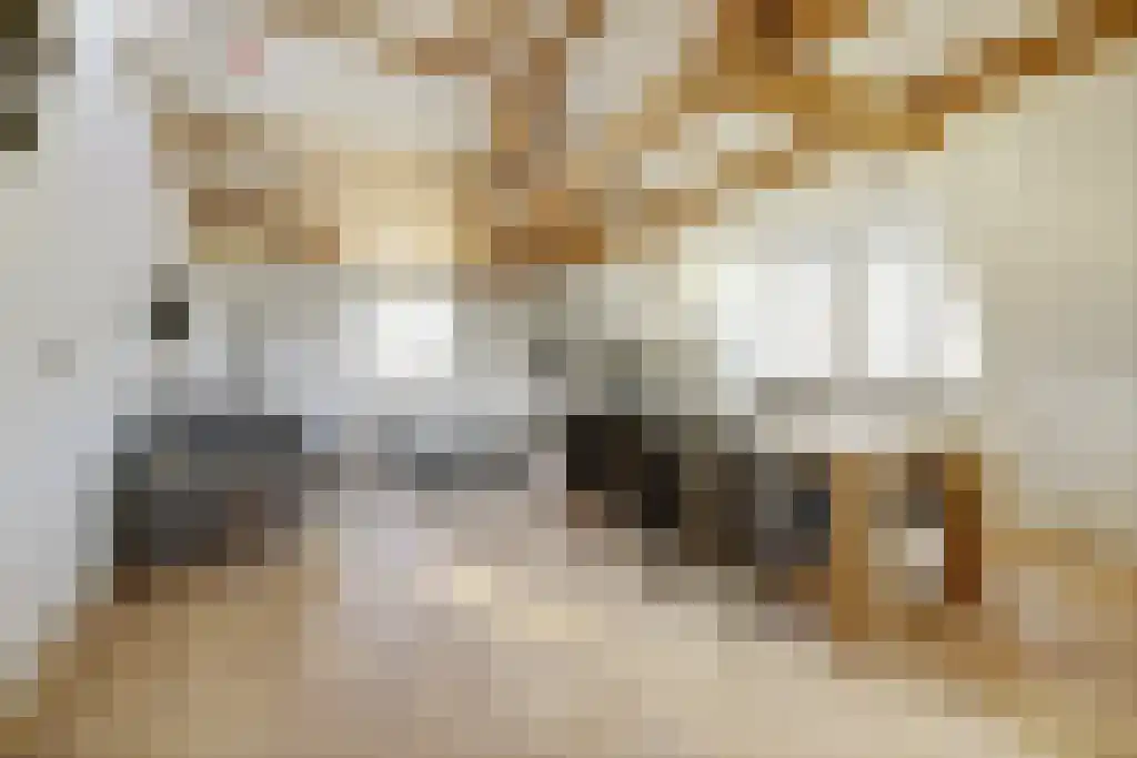 Nieuwe Vijzelstraat 1 Amsterdam thumbnail 6