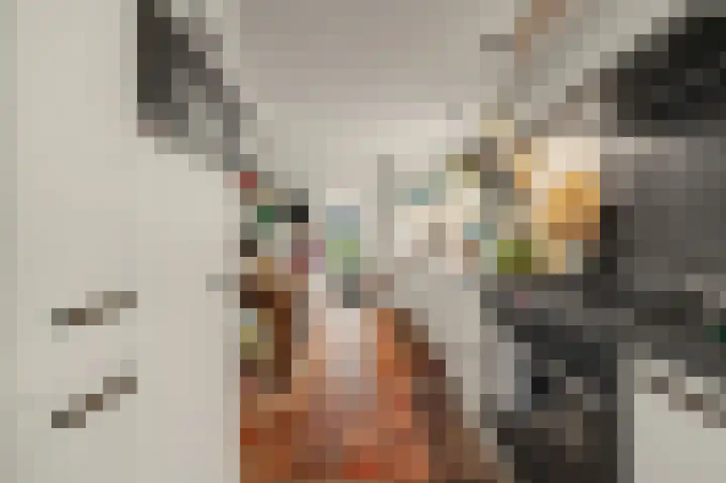 Nieuwe Vlissingseweg 141 Vlissingen thumbnail 15