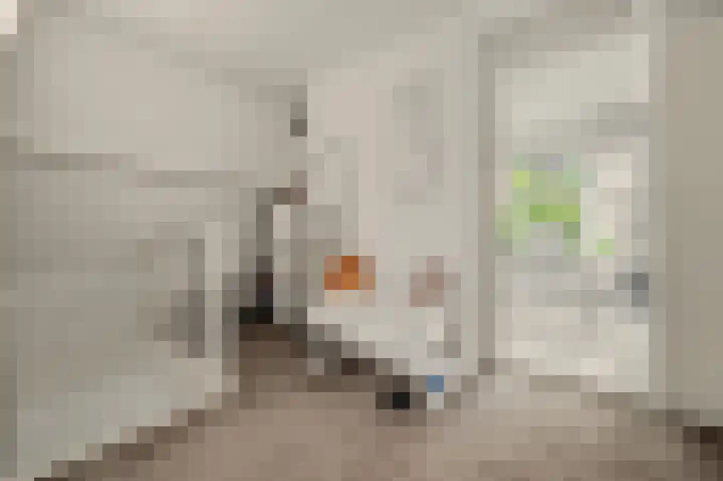 Nieuwe Vlissingseweg 141 Vlissingen thumbnail 23