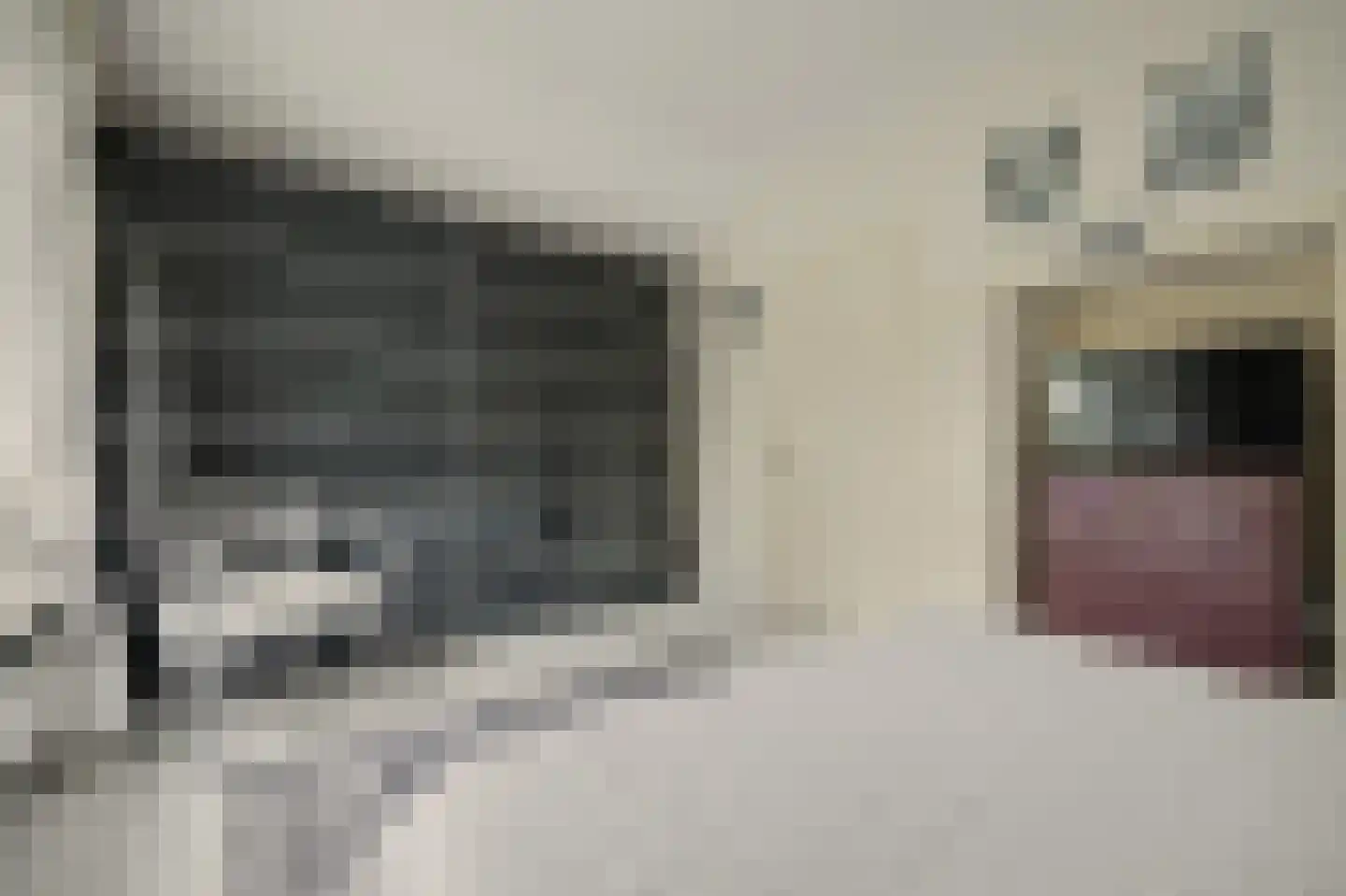 Nieuwe Vlissingseweg 141 Vlissingen thumbnail 25