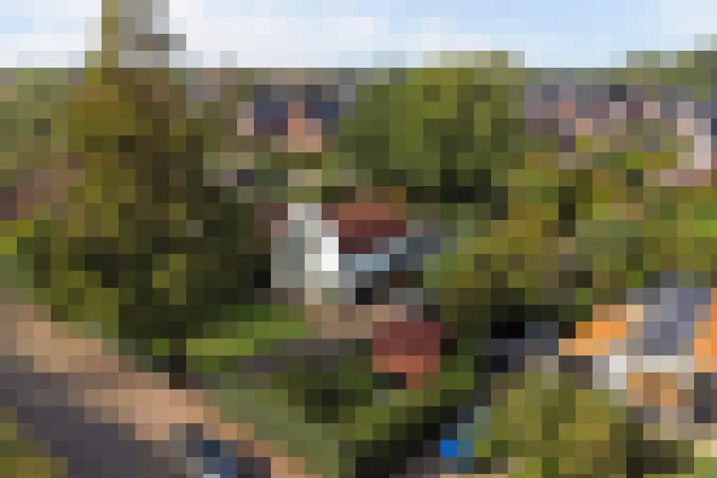 Nieuwe Vlissingseweg 141 Vlissingen thumbnail 39