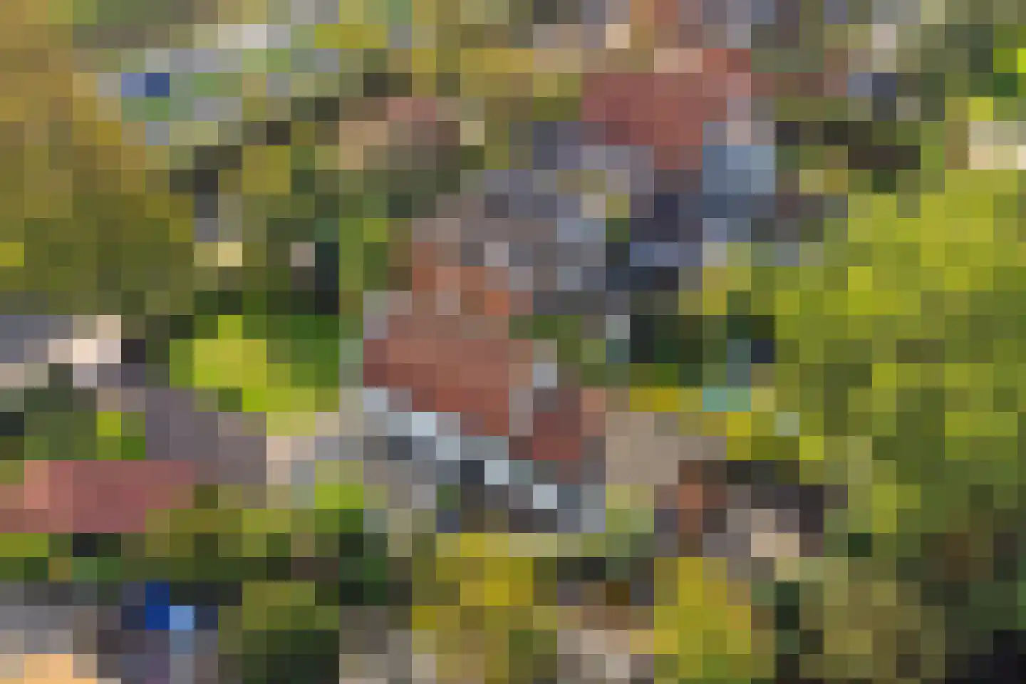 Nieuwe Vlissingseweg 141 Vlissingen thumbnail 4