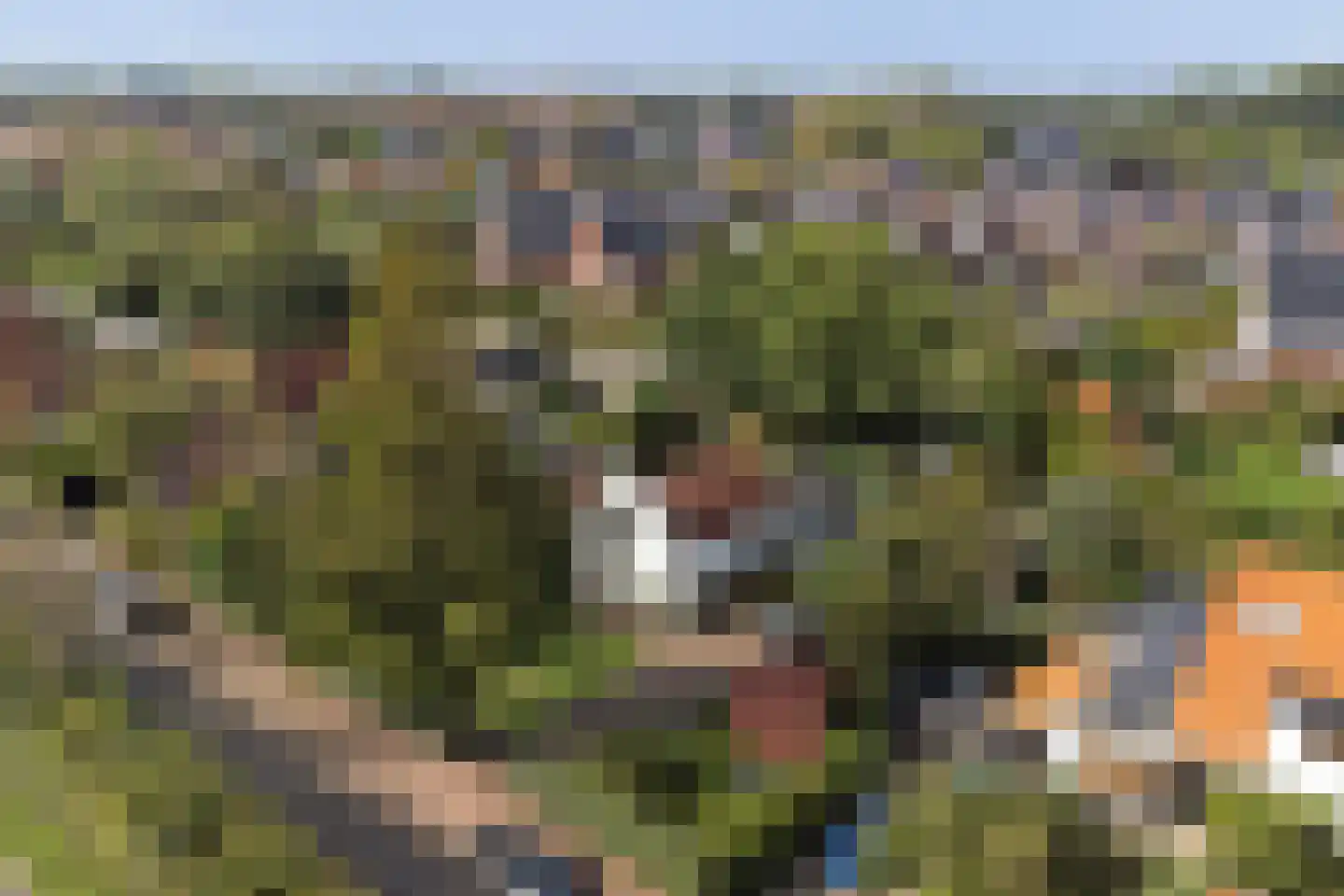 Nieuwe Vlissingseweg 141 Vlissingen thumbnail 41