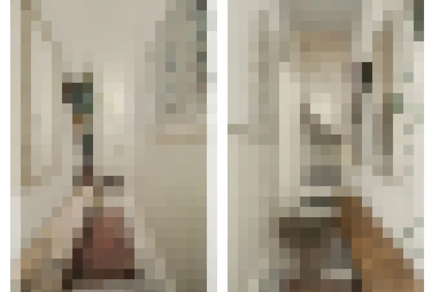 Nieuwe Vlissingseweg 141 Vlissingen thumbnail 8