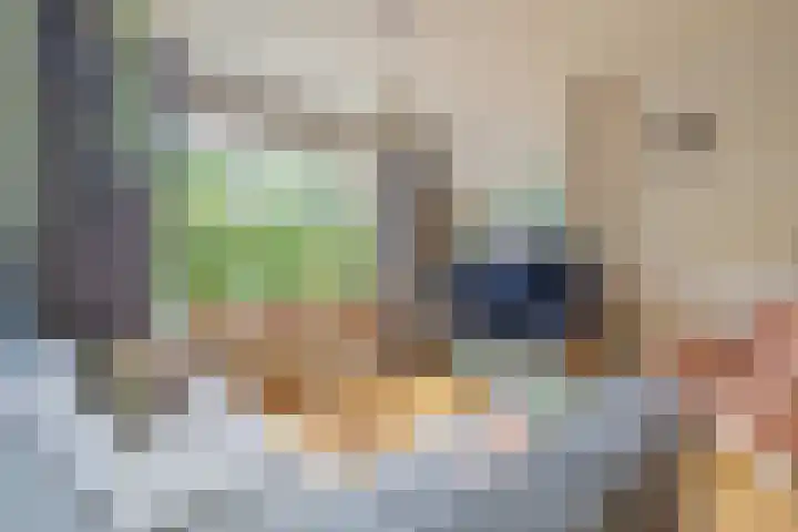Nieuwe Vlissingseweg 157 Vlissingen thumbnail 10