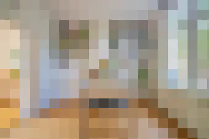 Nieuwe Vlissingseweg 157 Vlissingen thumbnail 13