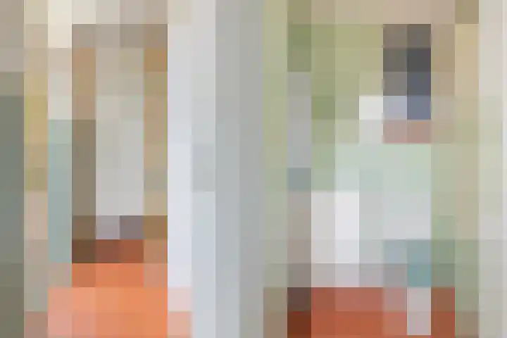 Nieuwe Vlissingseweg 157 Vlissingen thumbnail 18