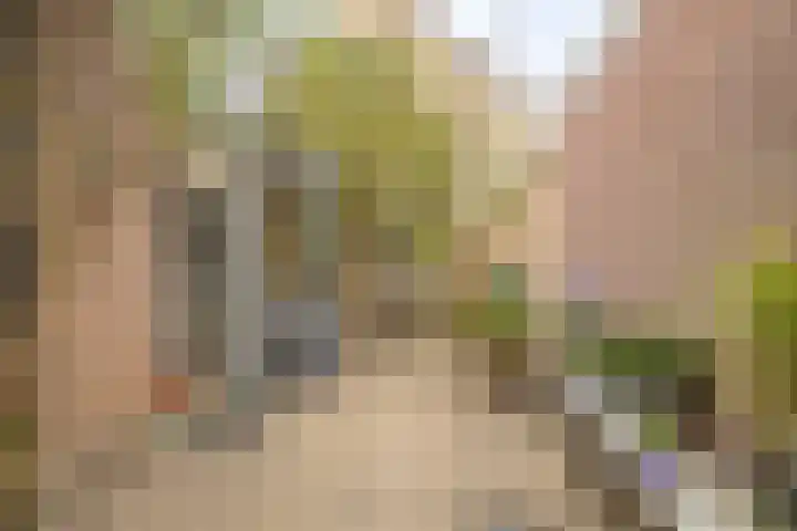 Nieuwe Vlissingseweg 157 Vlissingen thumbnail 20