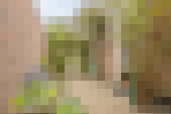 Nieuwe Vlissingseweg 157 Vlissingen thumbnail 21