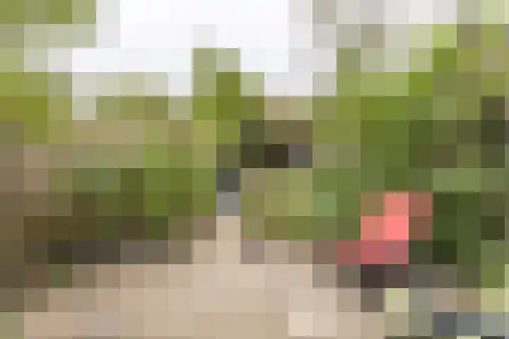 Nieuwe Vlissingseweg 157 Vlissingen thumbnail 23