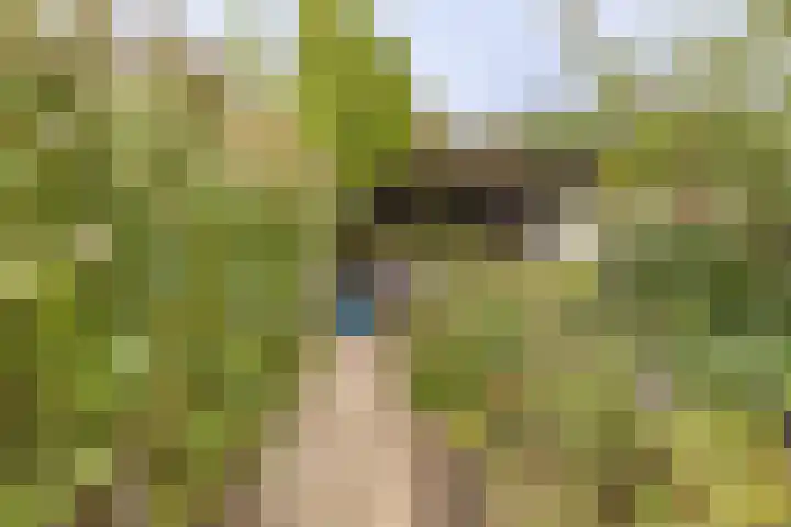 Nieuwe Vlissingseweg 157 Vlissingen thumbnail 24