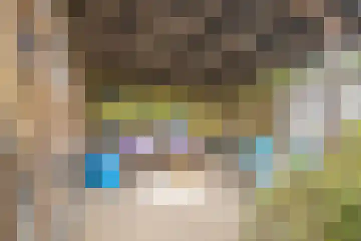 Nieuwe Vlissingseweg 157 Vlissingen thumbnail 25