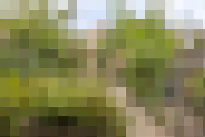 Nieuwe Vlissingseweg 157 Vlissingen thumbnail 27