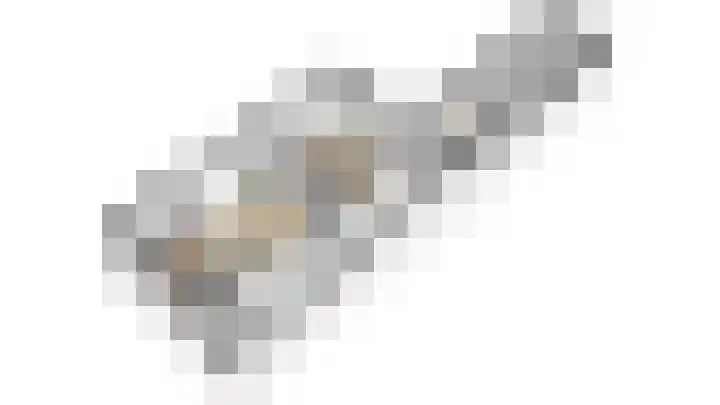 Nieuwe Vlissingseweg 157 Vlissingen thumbnail 6