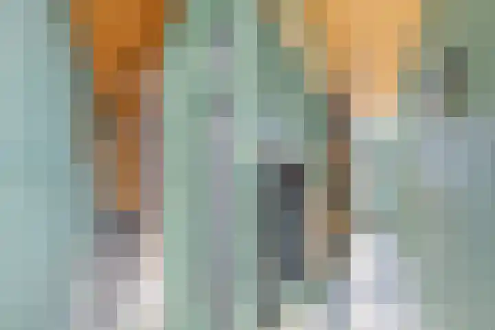 Nieuwe Vlissingseweg 157 Vlissingen thumbnail 7