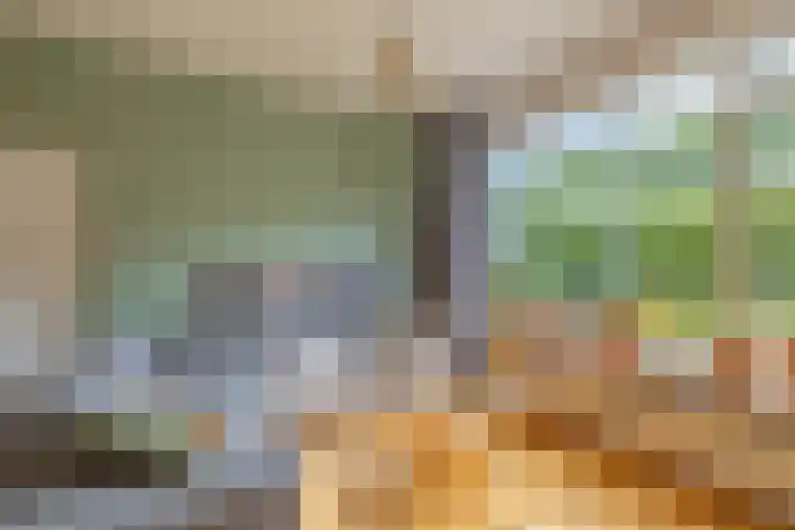 Nieuwe Vlissingseweg 157 Vlissingen thumbnail 9