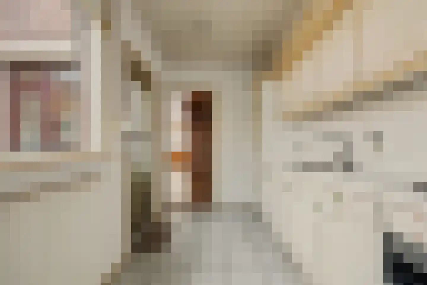 Nieuwe Vlissingseweg 164 Middelburg thumbnail 17