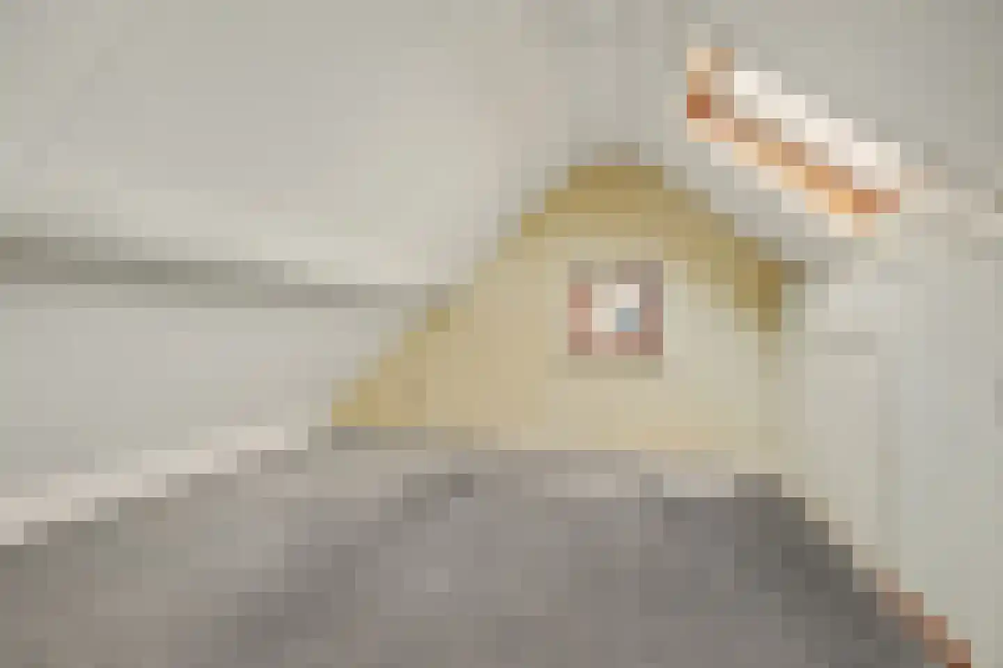 Nieuwe Vlissingseweg 164 Middelburg thumbnail 29