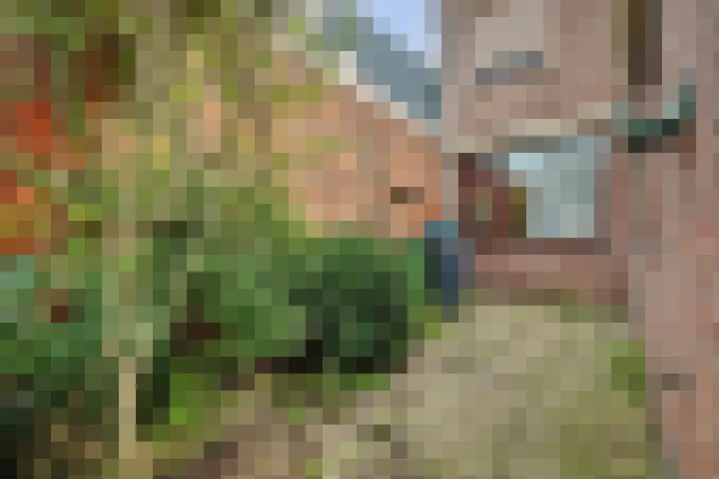 Nieuwe Vlissingseweg 164 Middelburg thumbnail 33